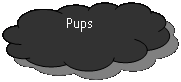 Gereserveerd: Pups