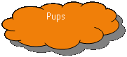 Gereserveerd: Pups#